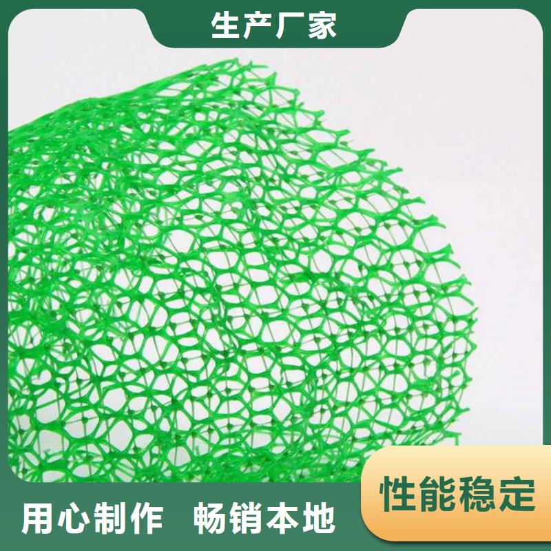三维植被网-防渗膜出货及时