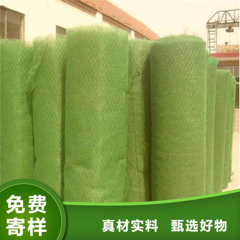 鼎诺机织布三维植被网【防水板】质检合格出厂