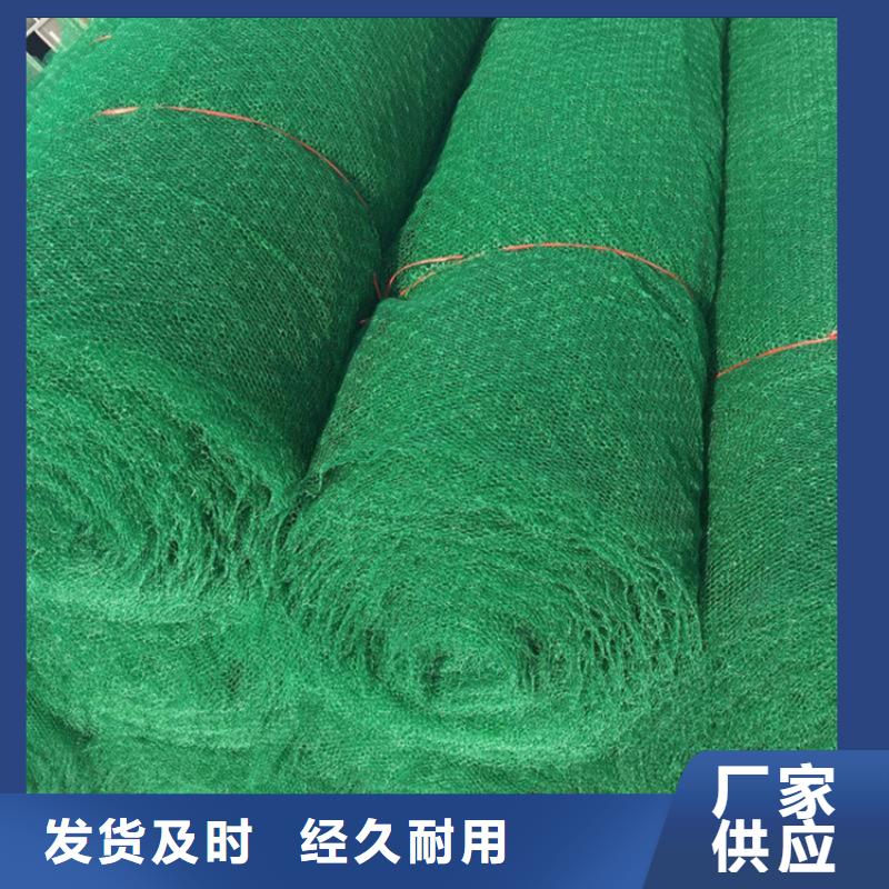 三维植被网土工膜品牌大厂家