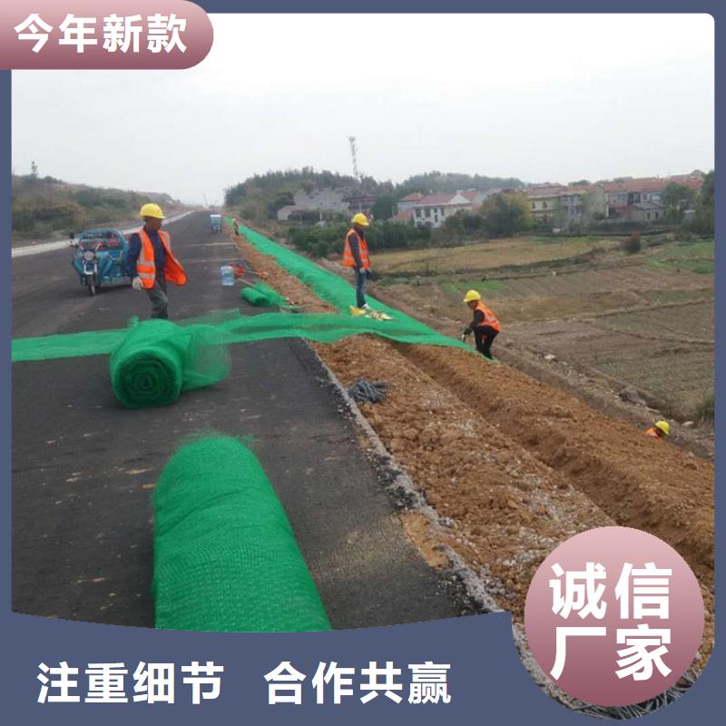 三维植被网HDPE土工膜48小时发货