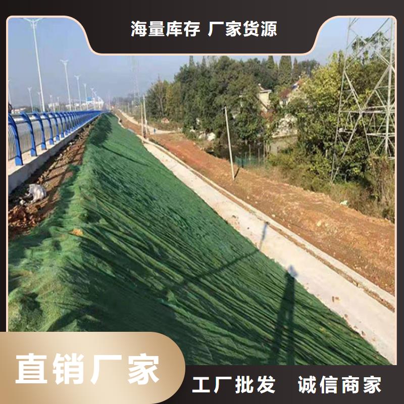 机织布视频-机织布-鼎诺土工材料(日照市分公司)服务区域莒县|东港|德州|泰安|淄博|威海|烟台|济南