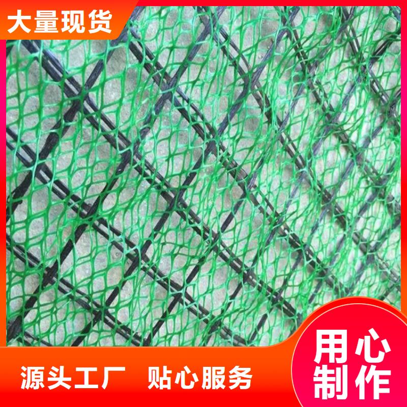 三维植被网HDPE土工膜48小时发货