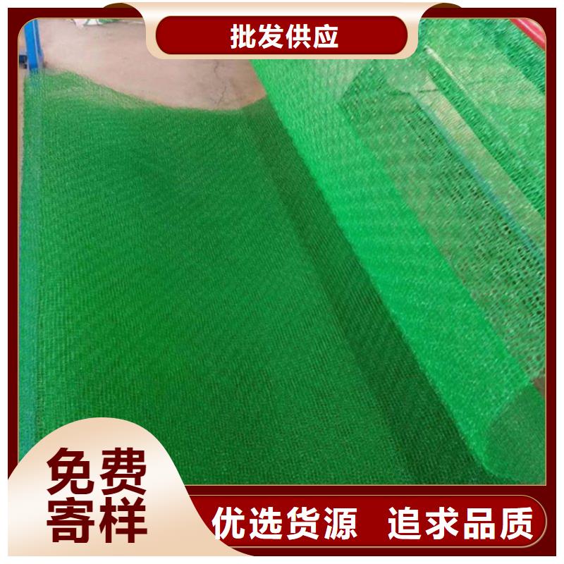 鼎诺机织布【 三维植被网_软式透水管精选优质材料】阿奇乐乐