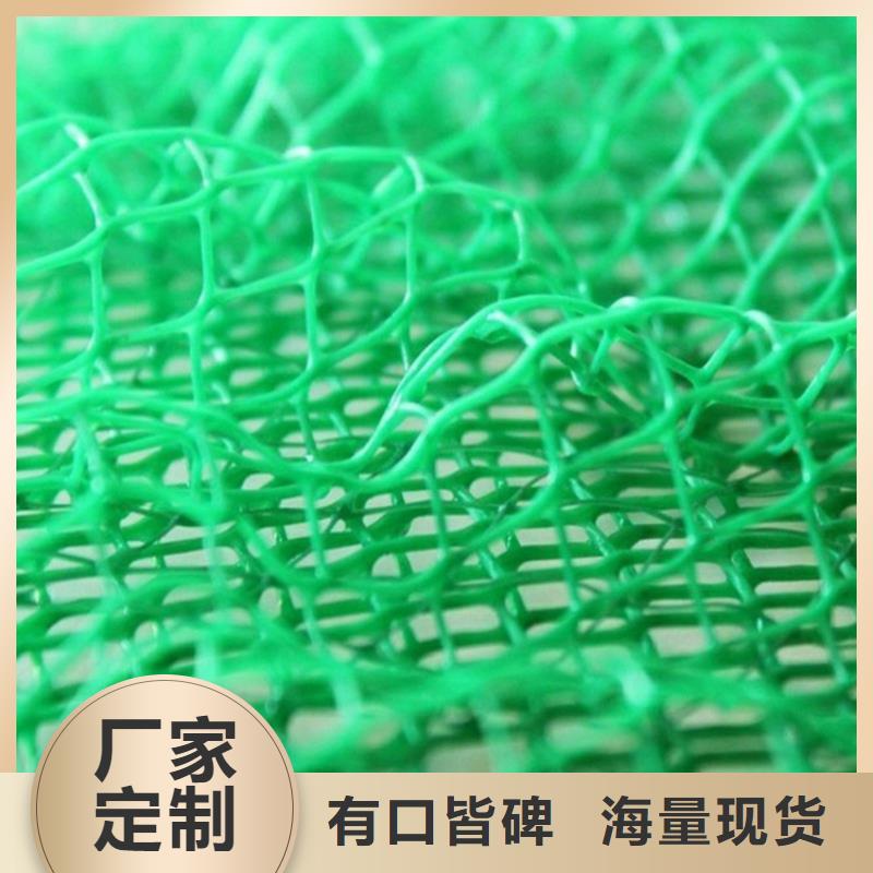 三维植被网HDPE土工膜48小时发货