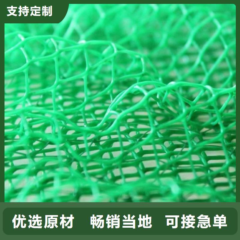 【三维植被网塑料盲沟支持货到付清】