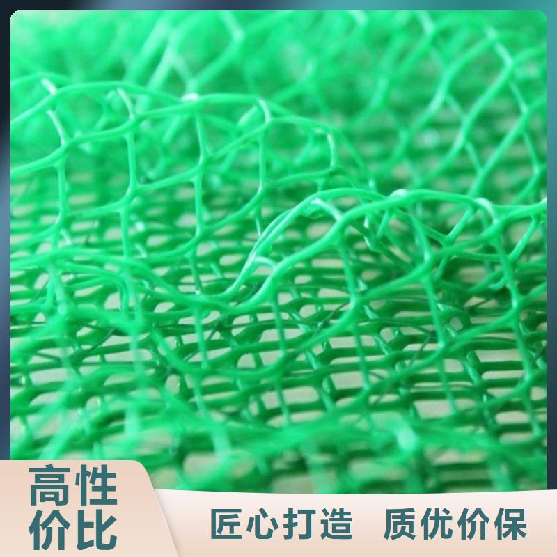 三维植被网网格布好厂家有担当