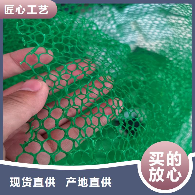 三维植被网网格布好厂家有担当