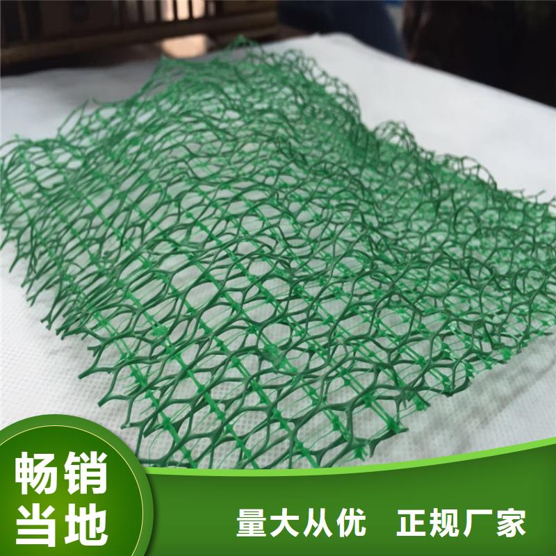 【三维植被网防渗膜精心选材】