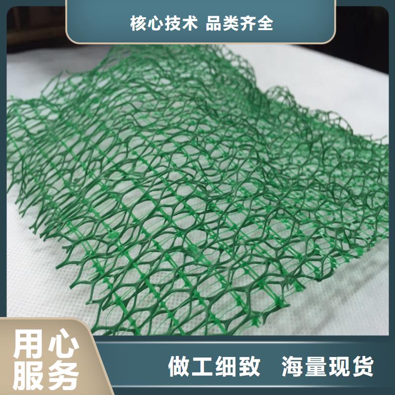 【三维植被网】_土工格栅颜色尺寸款式定制