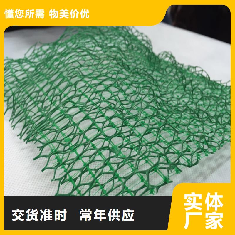 三维植被网网格布好厂家有担当