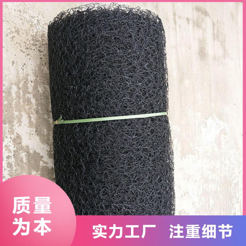 【通风降噪丝网钢塑土工格栅供应商】