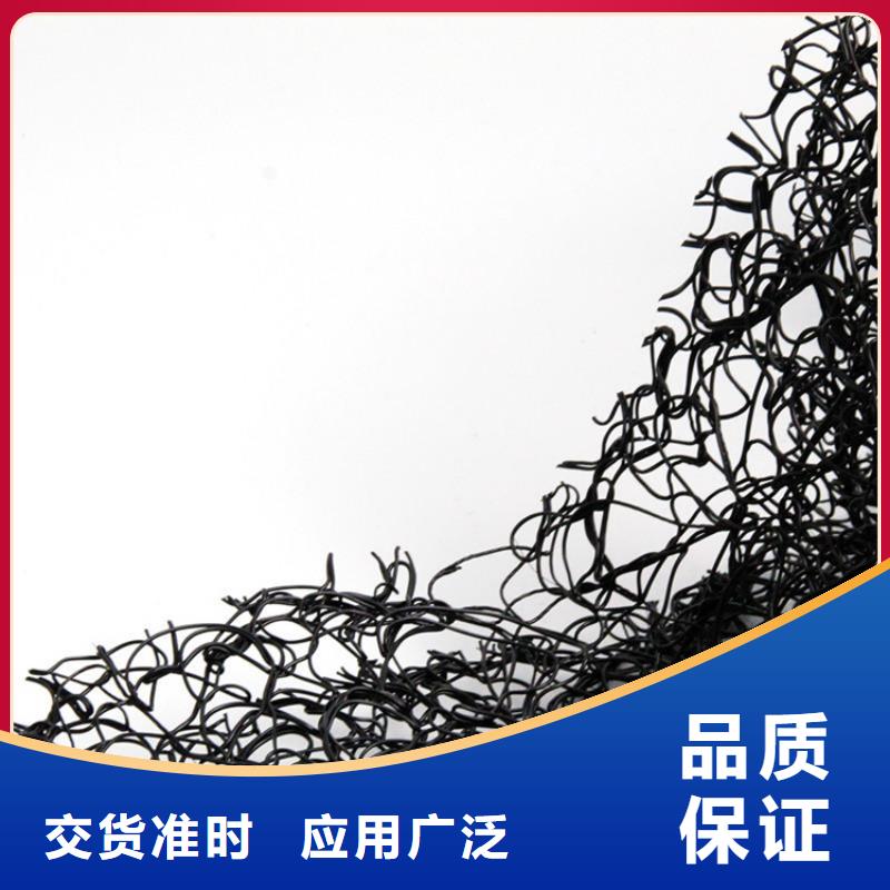 【通风降噪丝网钢塑土工格栅供应商】