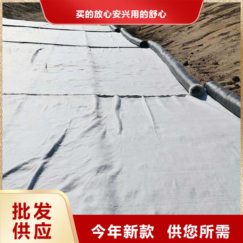 膨润土防水毯土工布品质做服务