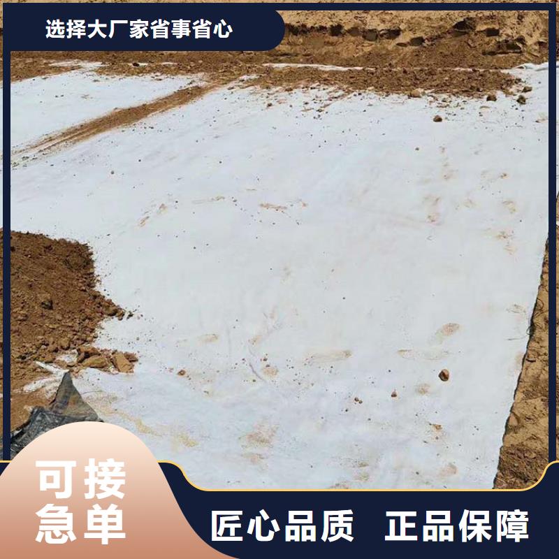 膨润土防水毯土工膜随到随提