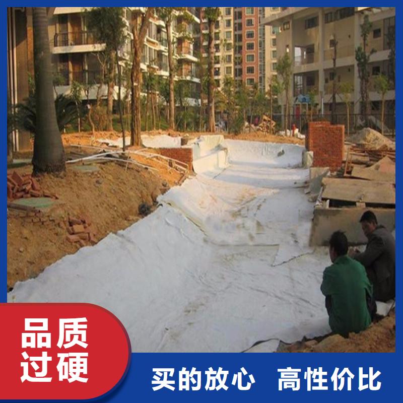 膨润土防水毯支持货到付清