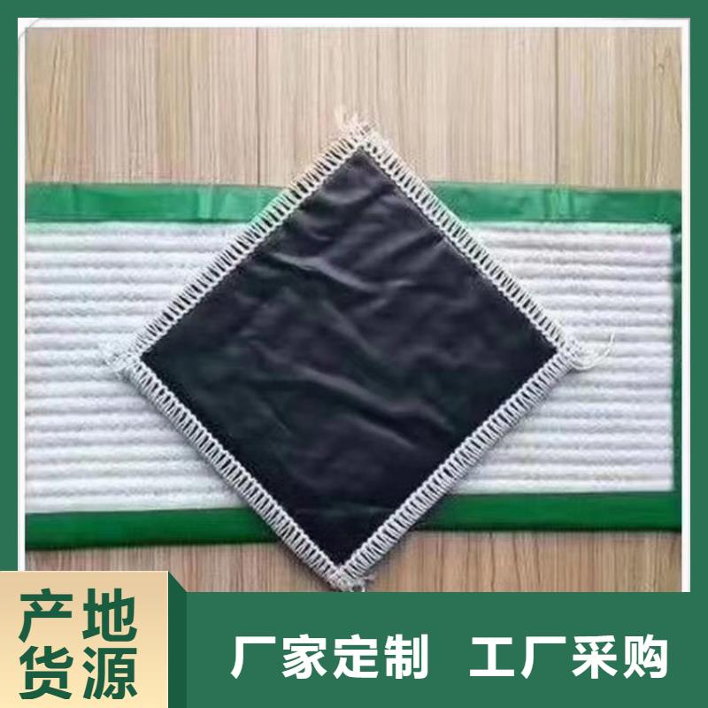 鼎诺膨润土防水毯,【通风降噪丝网】源头直供-业务覆盖区域|阿拉善|锡林郭勒|赤峰|通辽|呼和浩特|包头|兴安-阿奇乐乐