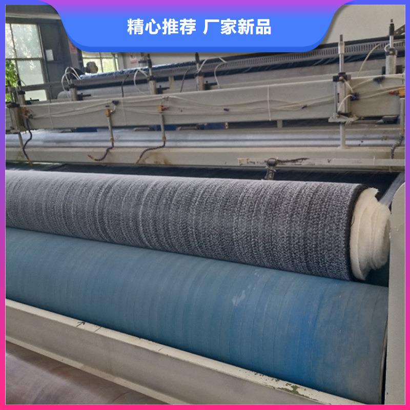 膨润土防水毯支持货到付清