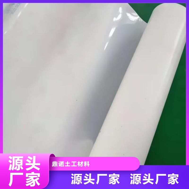 防水板双向塑料土工格栅贴心服务