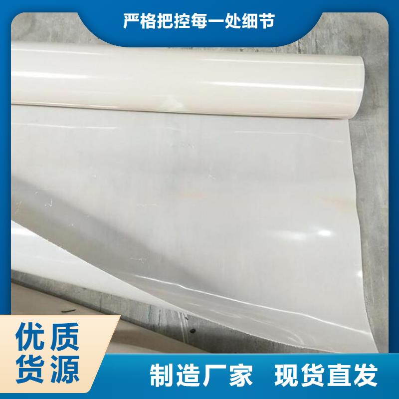 |长葛|魏都|洛阳|平顶山|南阳|新乡|郑州|驻马店|开封鼎诺防水板,【土工膜】专业信赖厂家