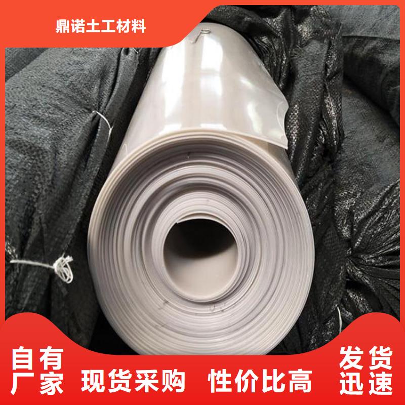 防水板土工格栅实地大厂