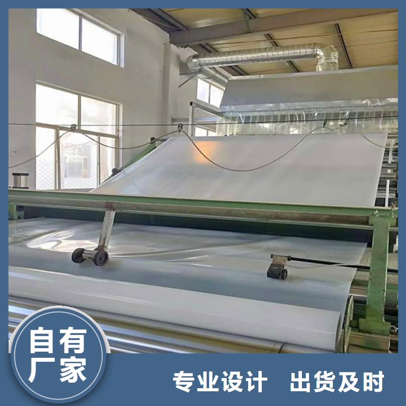 防水板HDPE土工膜自营品质有保障