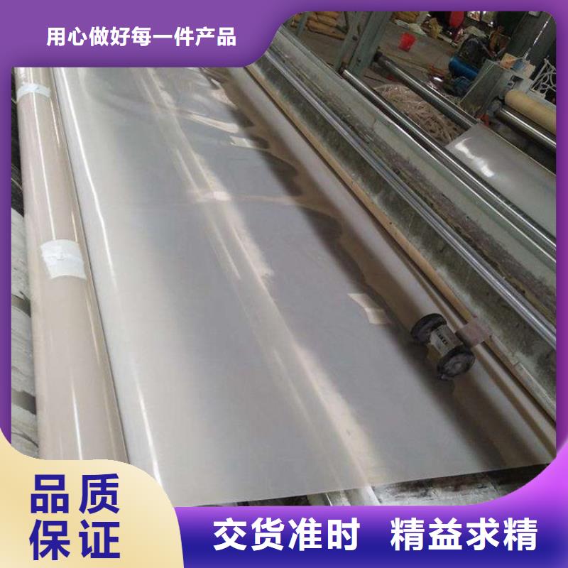 防水板土工格栅实地大厂