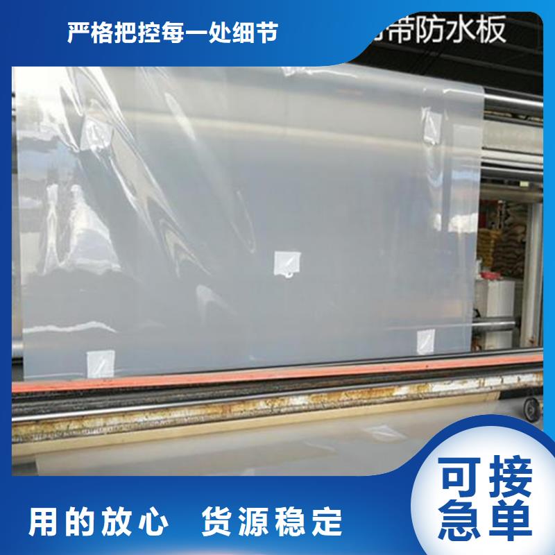 防水板土工格栅实地大厂