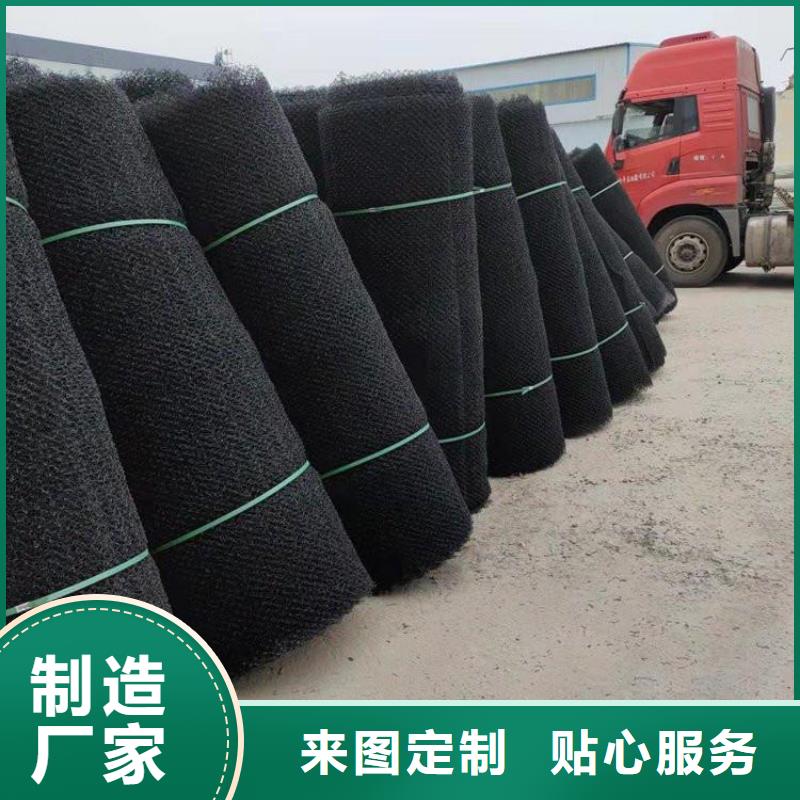 水土保护毯HDPE土工膜设备齐全支持定制