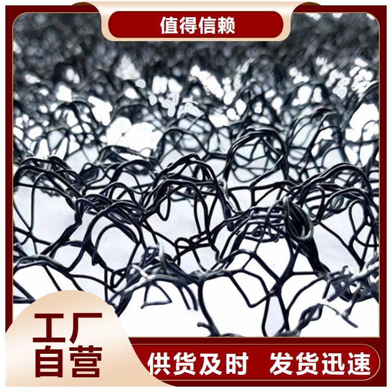水土保护毯HDPE土工膜设备齐全支持定制