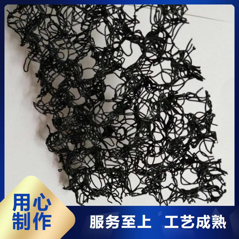 水土保护毯HDPE土工膜设备齐全支持定制