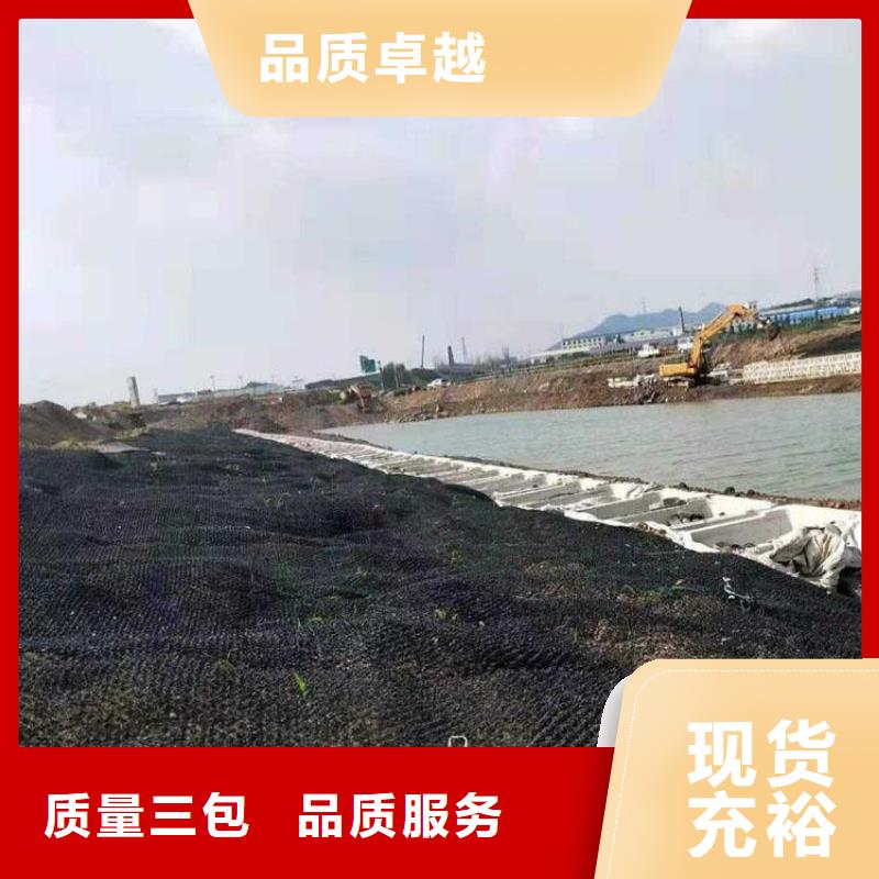 水土保护毯,土工格栅一对一为您服务