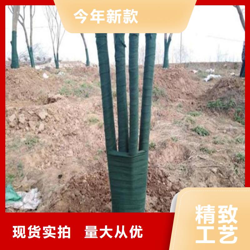 裹树布土工格栅定制速度快工期短