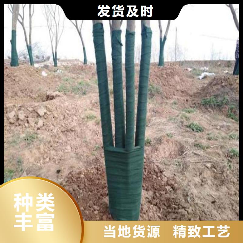 裹树布土工格室一个起售