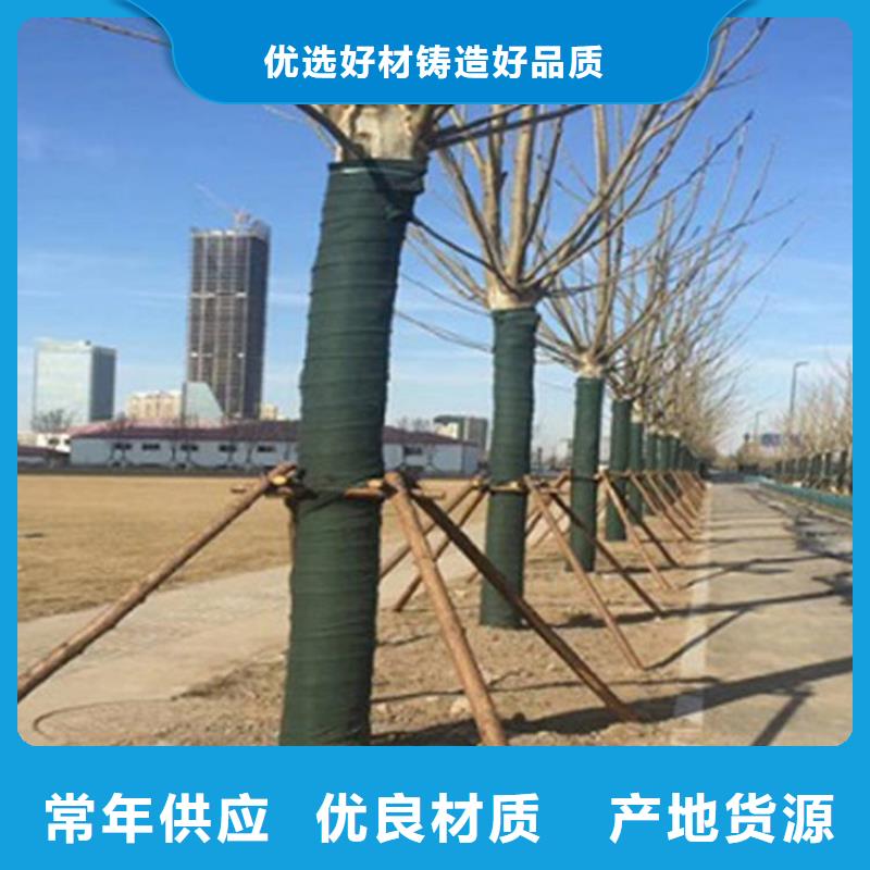裹树布土工格栅定制速度快工期短