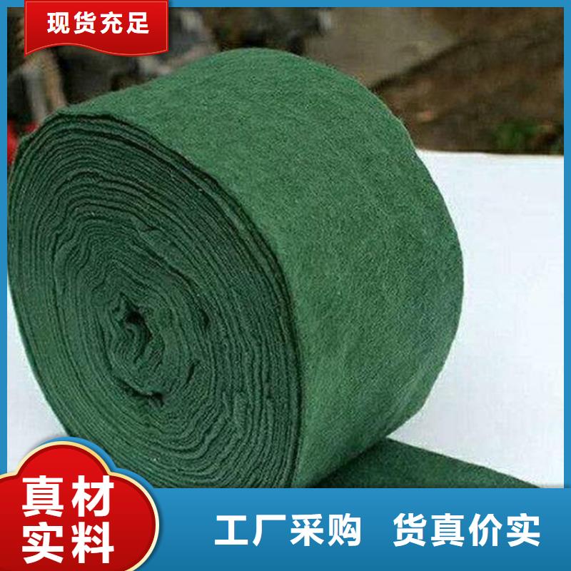 鼎诺机织布【 裹树布土工布核心技术】