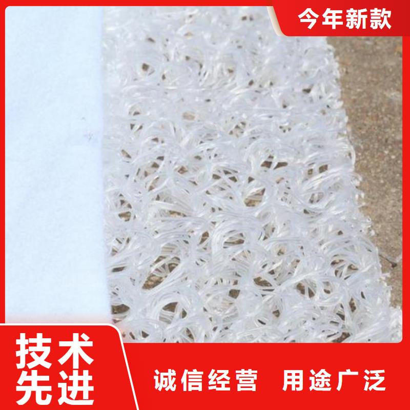 土工席垫_塑料土工格栅厂家批发价