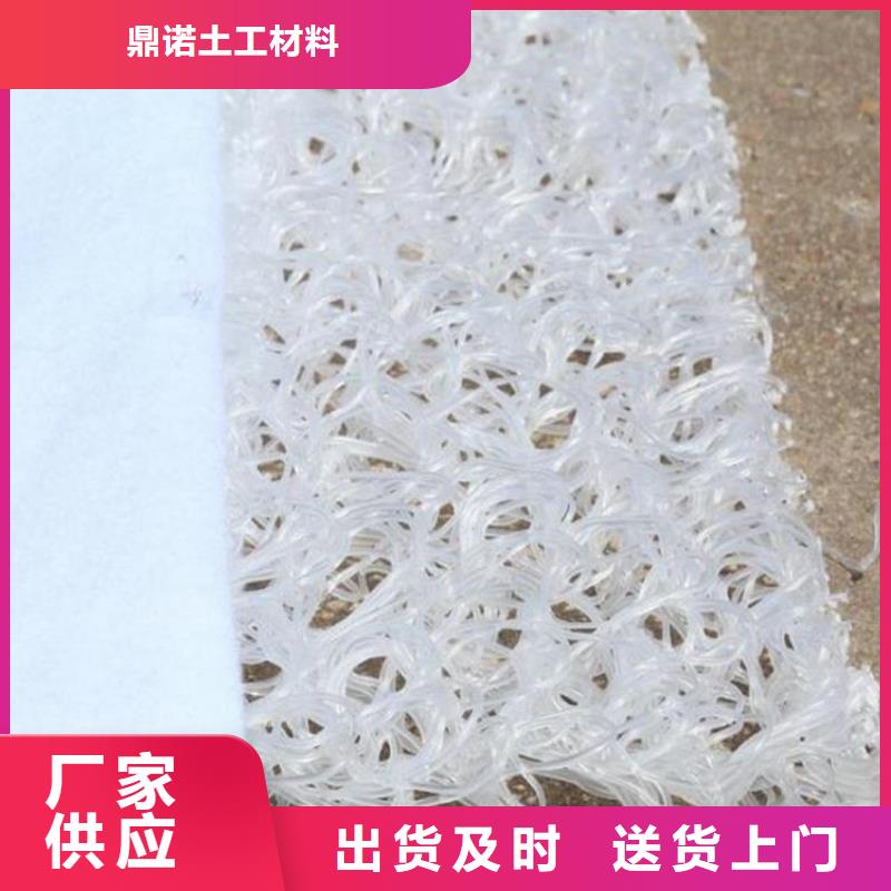 土工席垫_三维植被网厂家