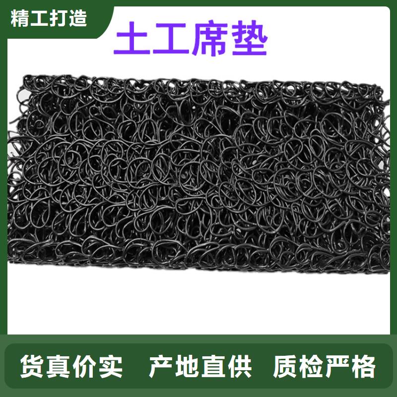 土工席垫_三维植被网厂家