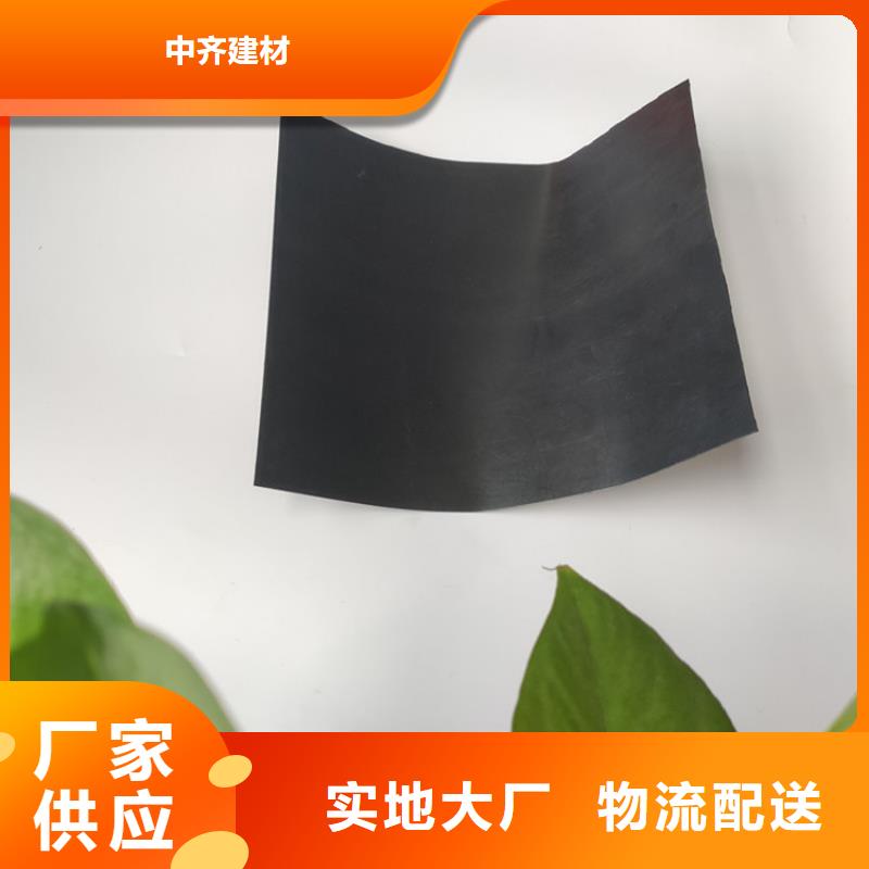 土工膜膨润土防水毯厂家