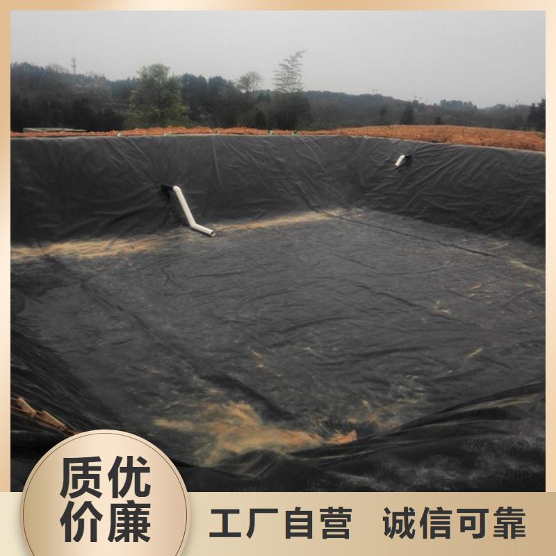 土工膜_土工格栅商家