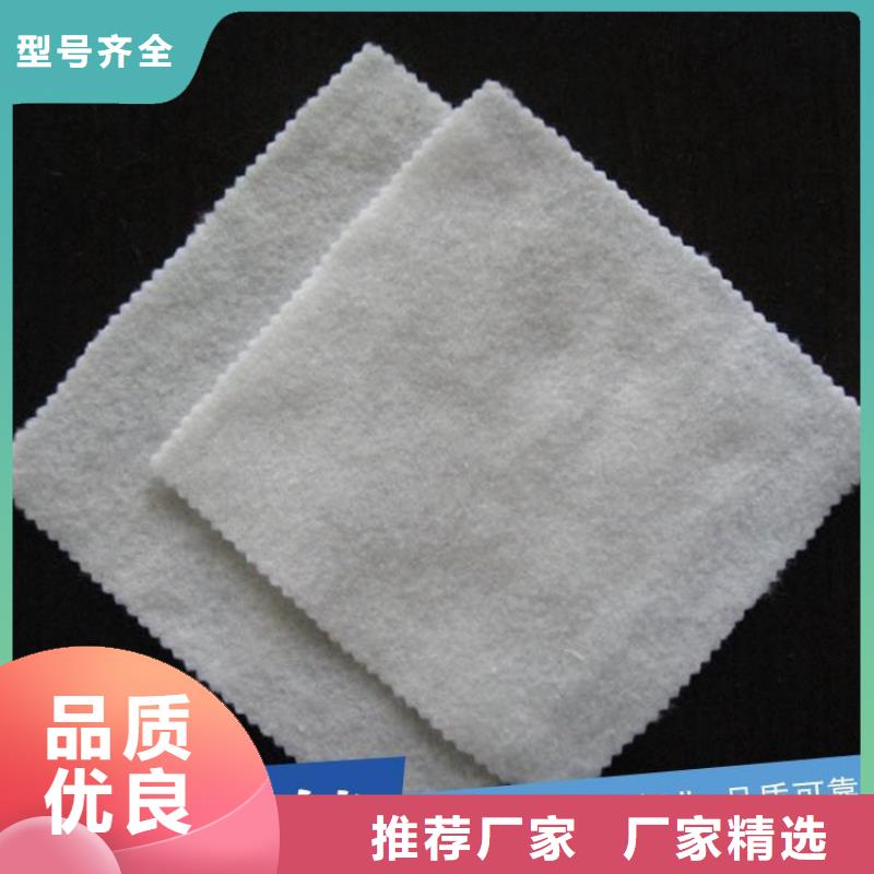 土工布_生态带厂家案例