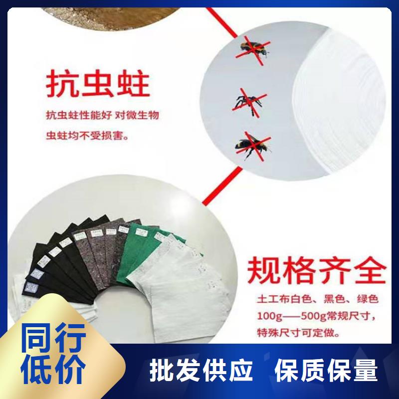 土工布矿用格栅实体厂家大量现货