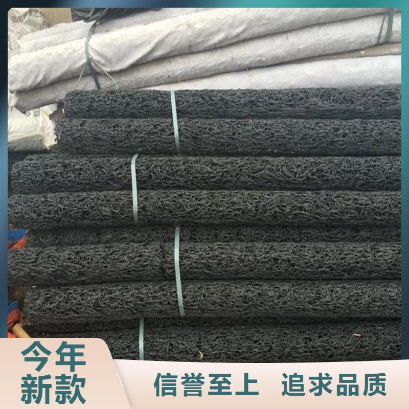 塑料盲沟【玻纤土工格栅】价格实惠