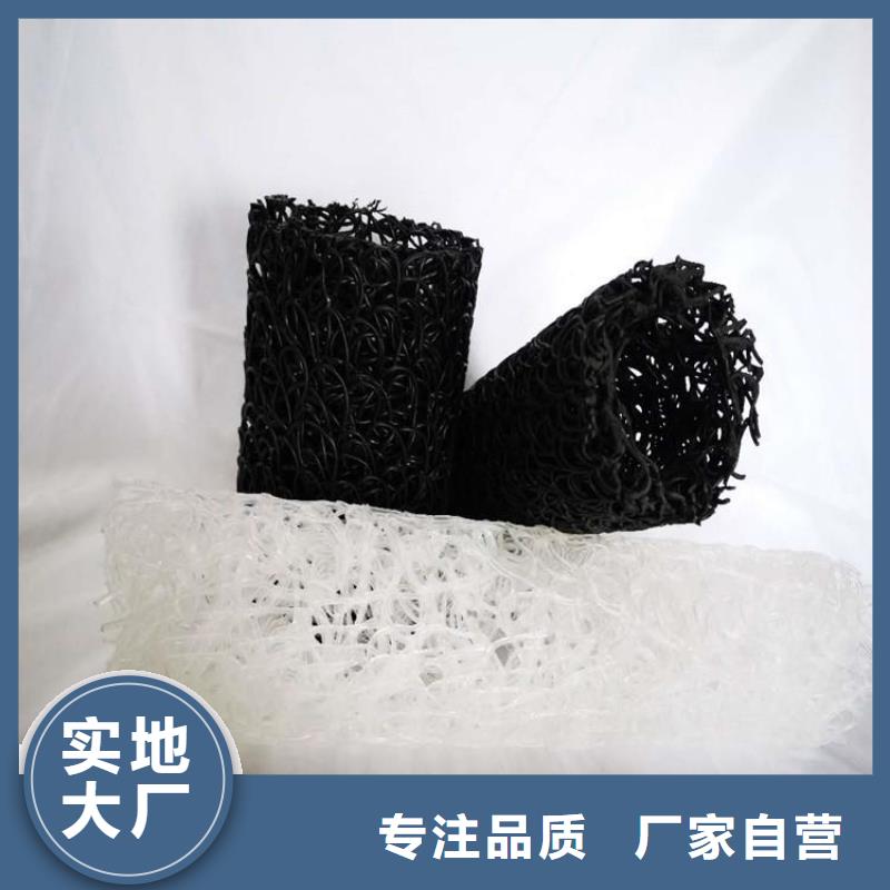 塑料盲沟玻璃纤维土工格栅品质保障售后无忧