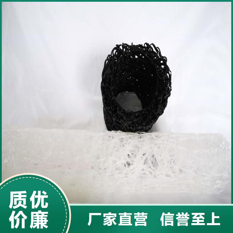 塑料盲沟土工格栅货源直供