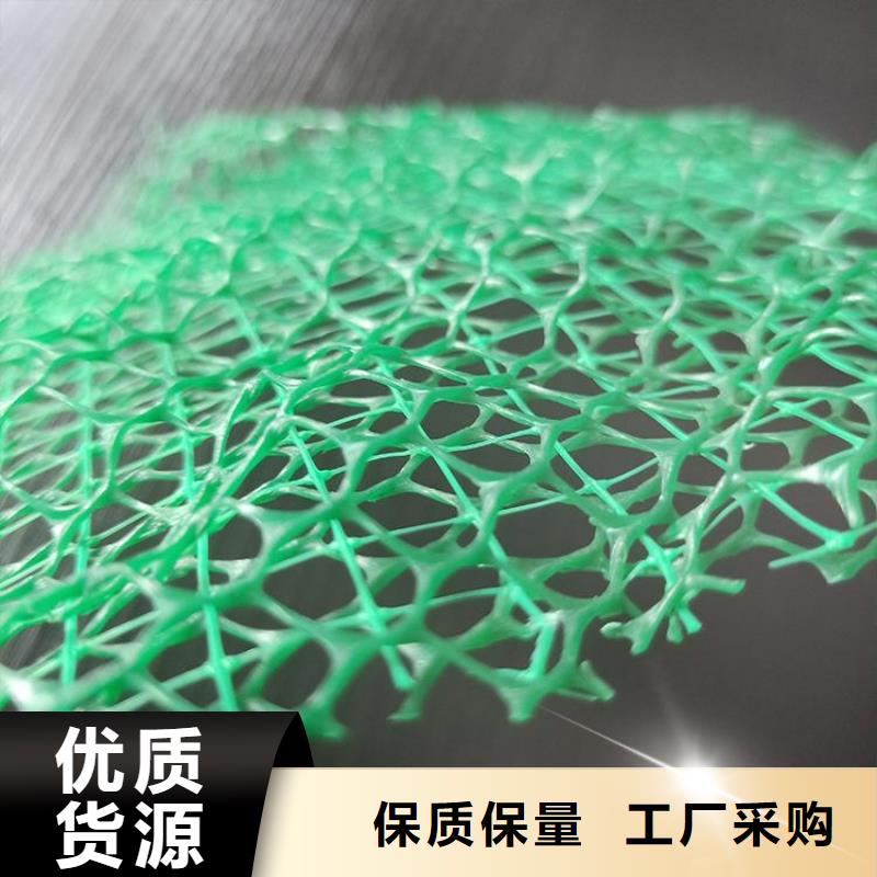 三维植被网防水板实力工厂