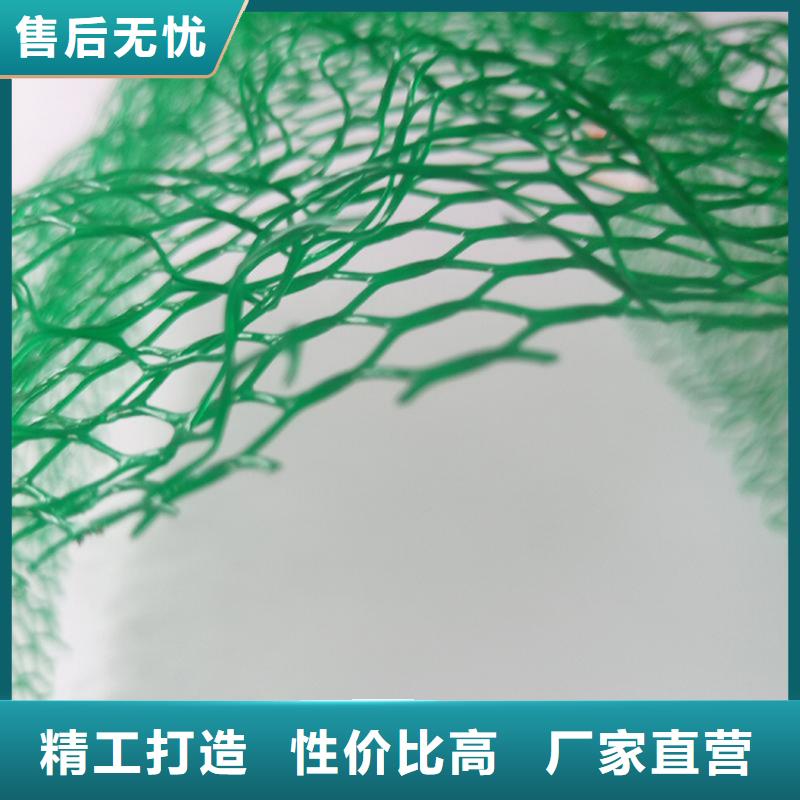 三维植被网防渗膜的图文介绍