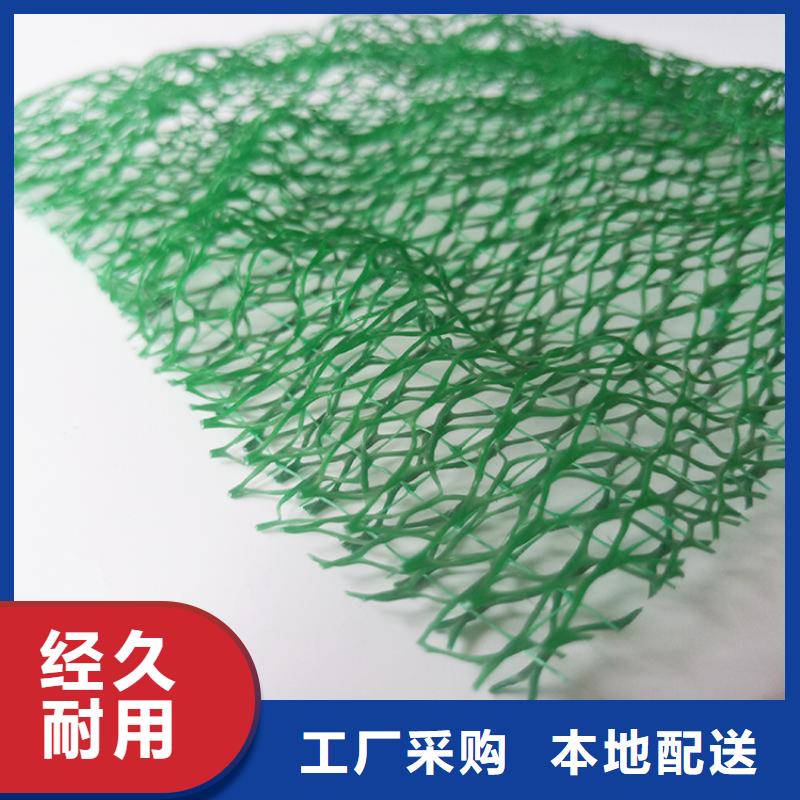 三维植被网_土工格栅快速物流发货