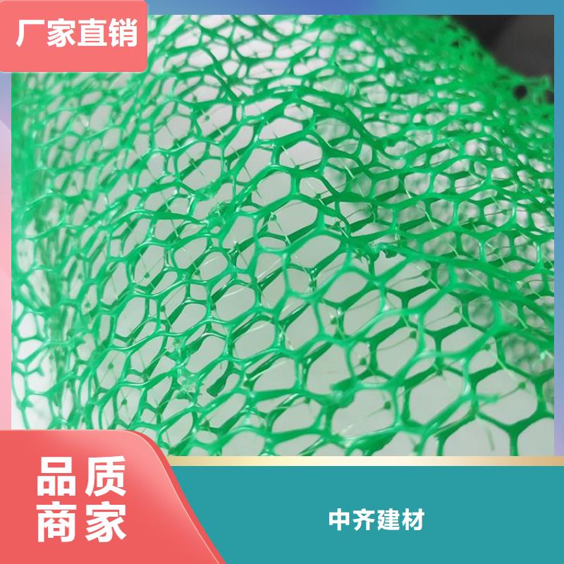 中齐三维植被网 【土工膜】买的放心-阿奇乐乐