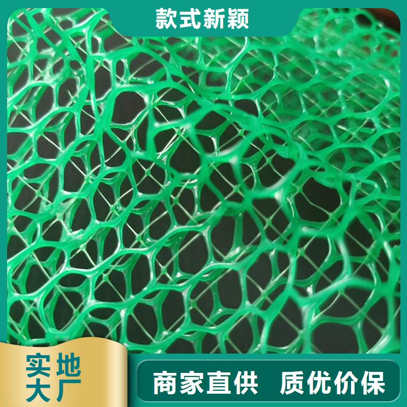 三维植被网防渗膜注重细节